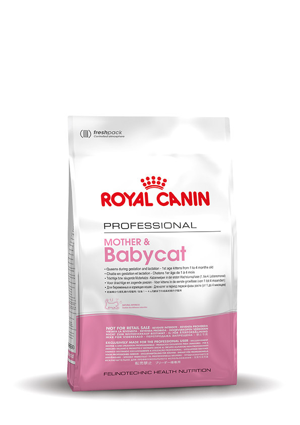 royal canin mother and babycat 10 kg