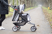 Innopet Buggy All Terrain black/silver