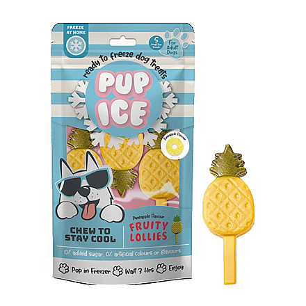 Pup Ice Hondenijsje Fruitlollie Ananas 3 st