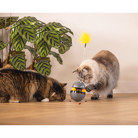 Beeztees Kattenspeelgoed Interactief Wibol