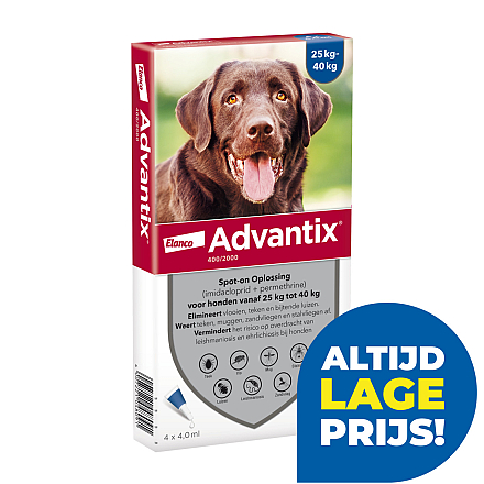 Advantix 400 4 pipetten