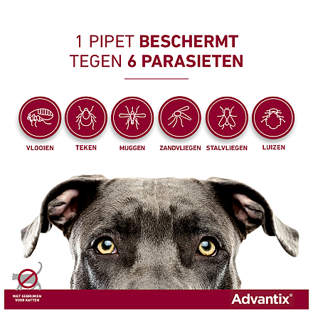 Advantix 100 4 pipetten