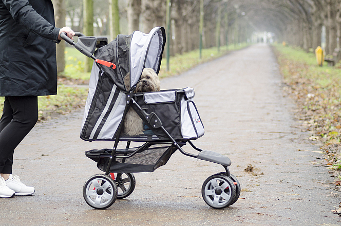 Innopet Buggy All Terrain black/silver