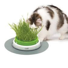 Catit Senses 2.0 Grass Planter